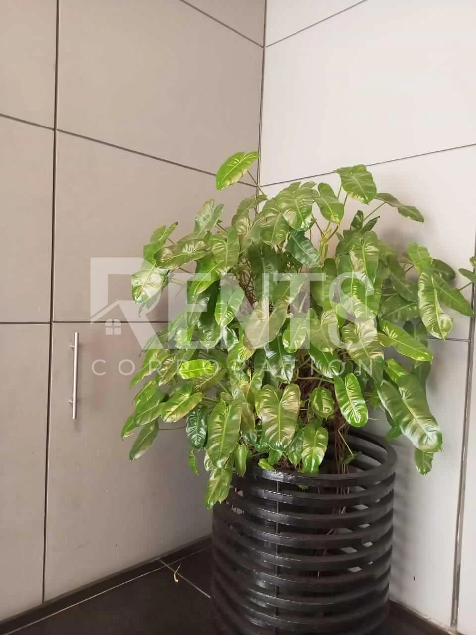 Office space rent in banani