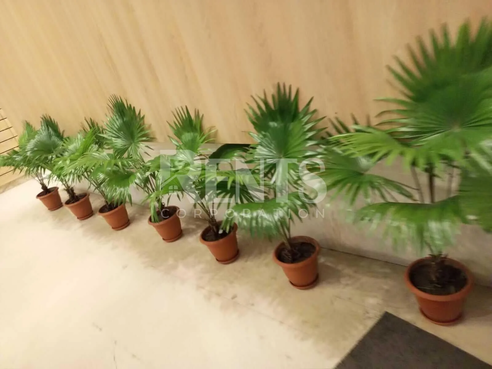 office space rent in dhaka